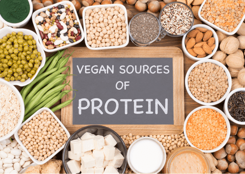 Nutrition Advice - Plant-Based Protein