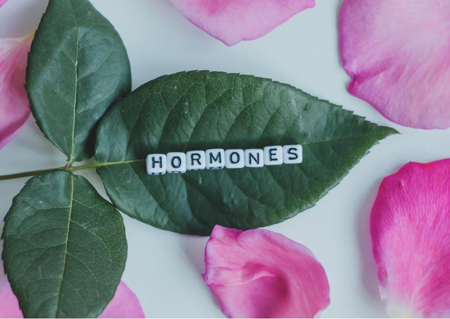 Nutritional Therapy for Hormones