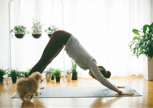 Yoga Flows to Practise at Home