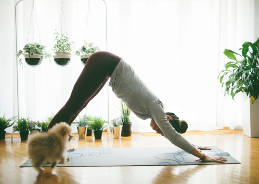 Yoga Flows to Practise at Home