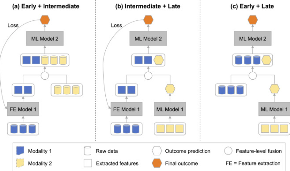Figure 3: Early vs. Intermediate vs. Late fusion strategies for fusing features across modalities