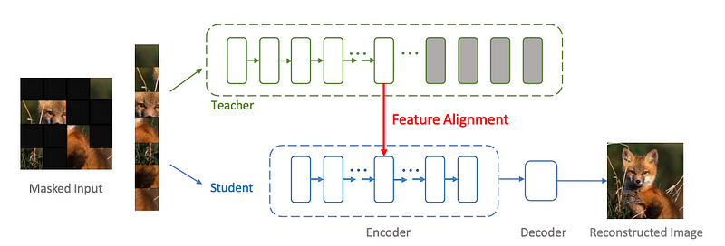 Figure 3: Example of Feature-Based Knowledge Distillation from “Masked Autoencoders Enable Efficient Knowledge Distillers”