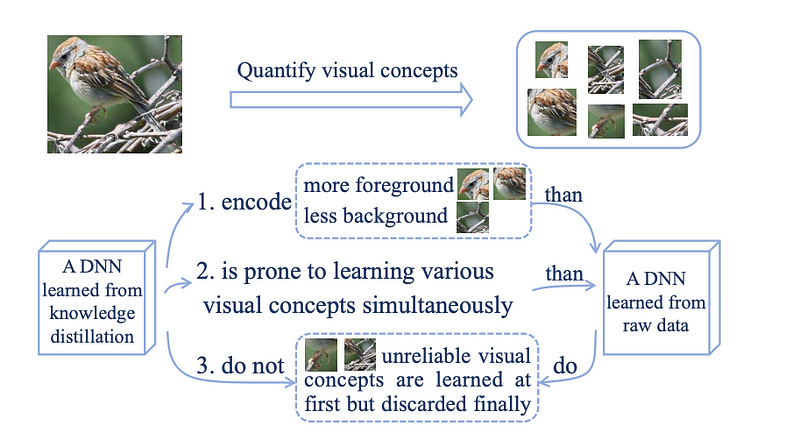 Figure 6: Comparison of a model trained using Knowledge Distillation compared to a supervised baseline model. Source: “Explaining Knowledge Distillation by Quantifying the Knowledge”