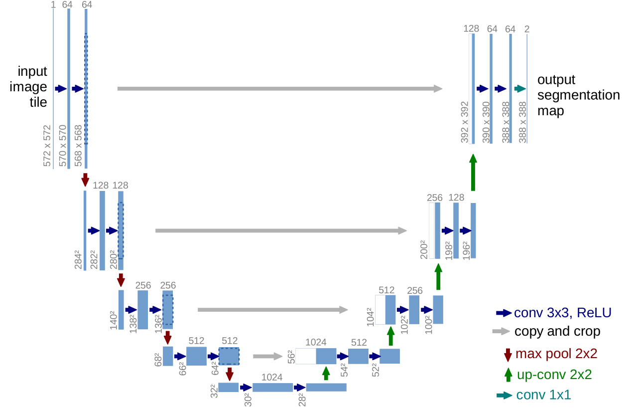 Figure 1: Overview of the U-Net architecture, showing feature maps and how information flows through the network.