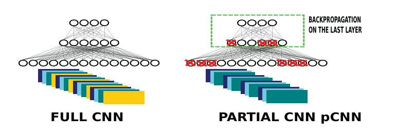 Figure 6: A run of batchwise dropout to build a partial CNN from the full CNN.