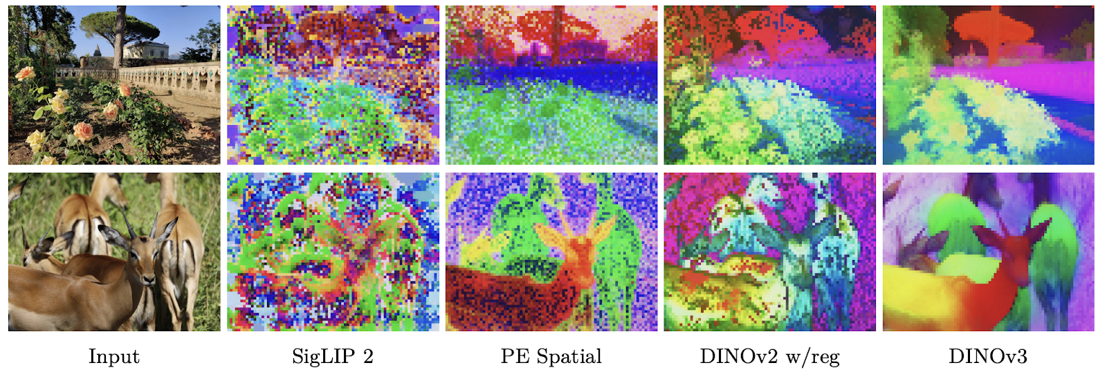 Figure 1: Comparison of dense features between different model architectures. DINOv3 achieves exceptional feature quality.