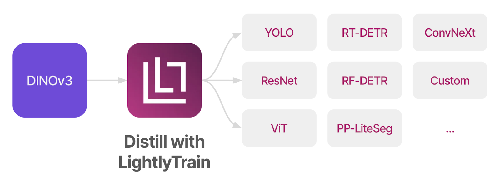 Figure: LightlyTrain distills DINOv3 into any model architecture.