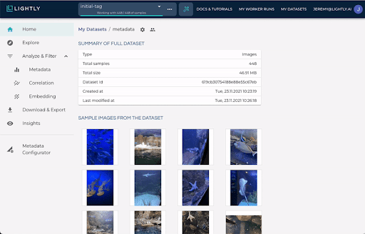 Fig 4: View of a dataset in the LightlyOne Platform. 