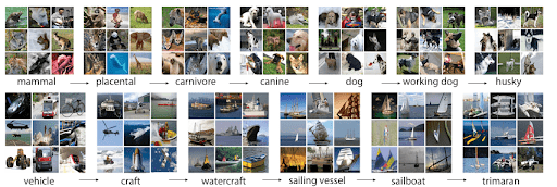 Fig 8: A snapshot of two ImageNet branches: top from the mammal subtree, bottom from the vehicle subtree.