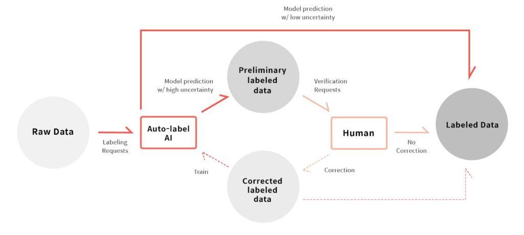 Fig 6: AI-assisted labeling for computer vision data.