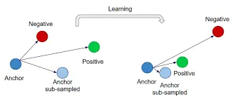 Figure 3: Triplet Margin Loss working.