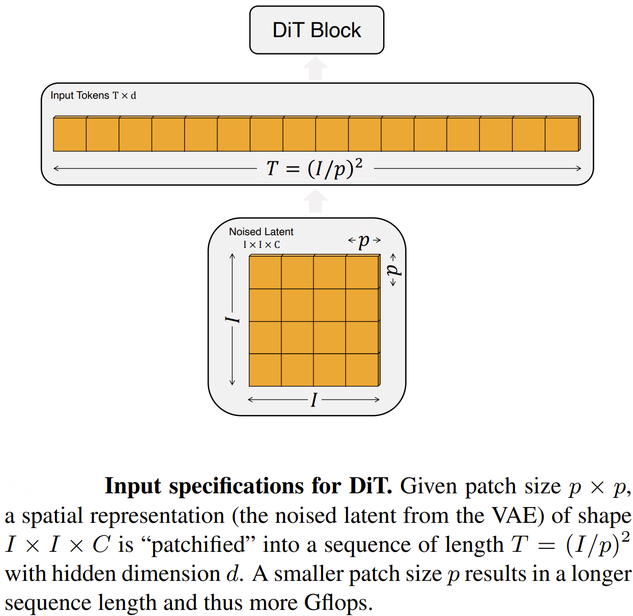 Figure 9: Input specifications for DiT.