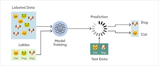 Figure 2: Process of image classification in ML.