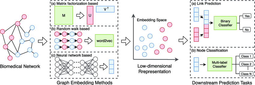 Figure 2: Pipeline for applying graph embedding methods to biomedical tasks.