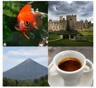 Figure 6: The image shows a 2Ă—2 grid of synthetic images generated by the BigGAN model.