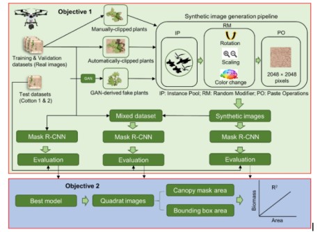 Figure 13: Workflow diagram for the synthetic crop images.