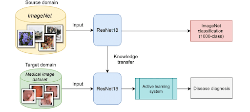 Figure 7: Applying knowledge from a general image classification model to a medical image analysis task.