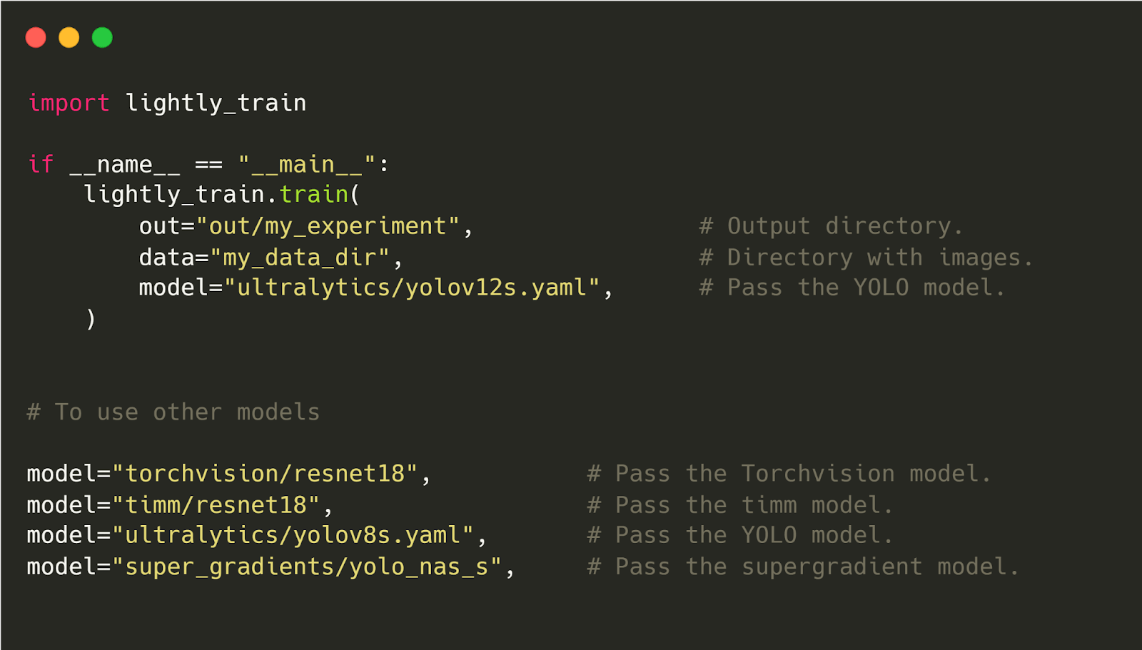 Code to use different models in LightyTrain.‍