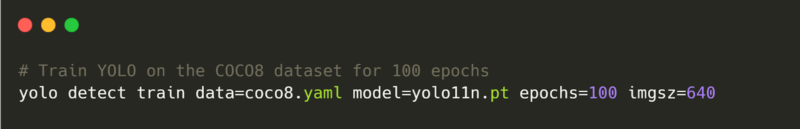 YOLO11 training through the command line.‍