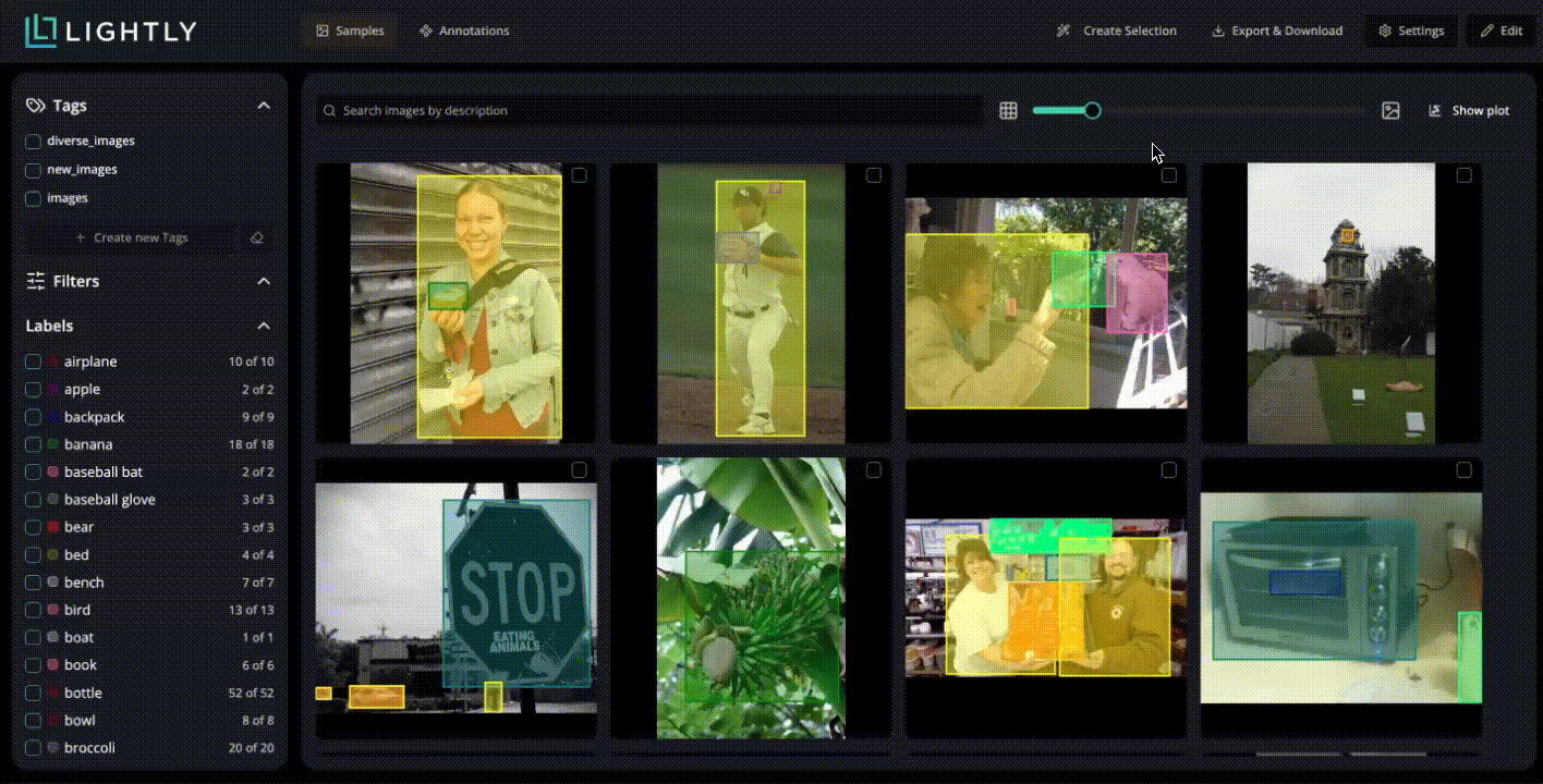 LightlyStudio selection strategies
