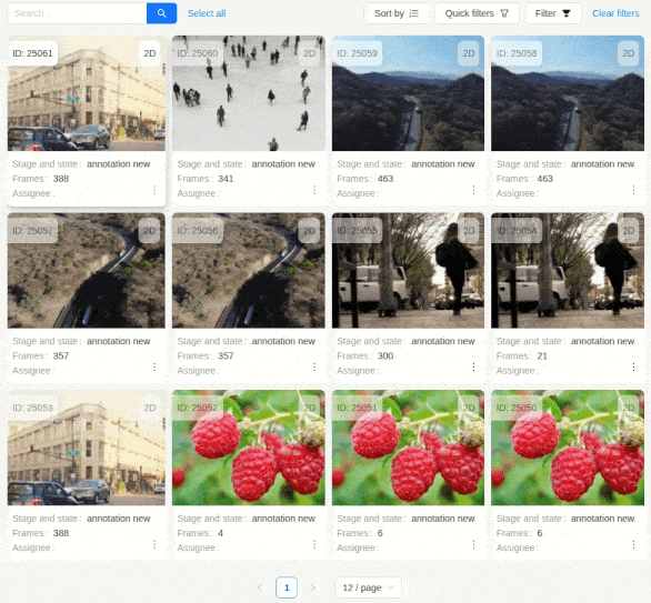 CVAT user interface.