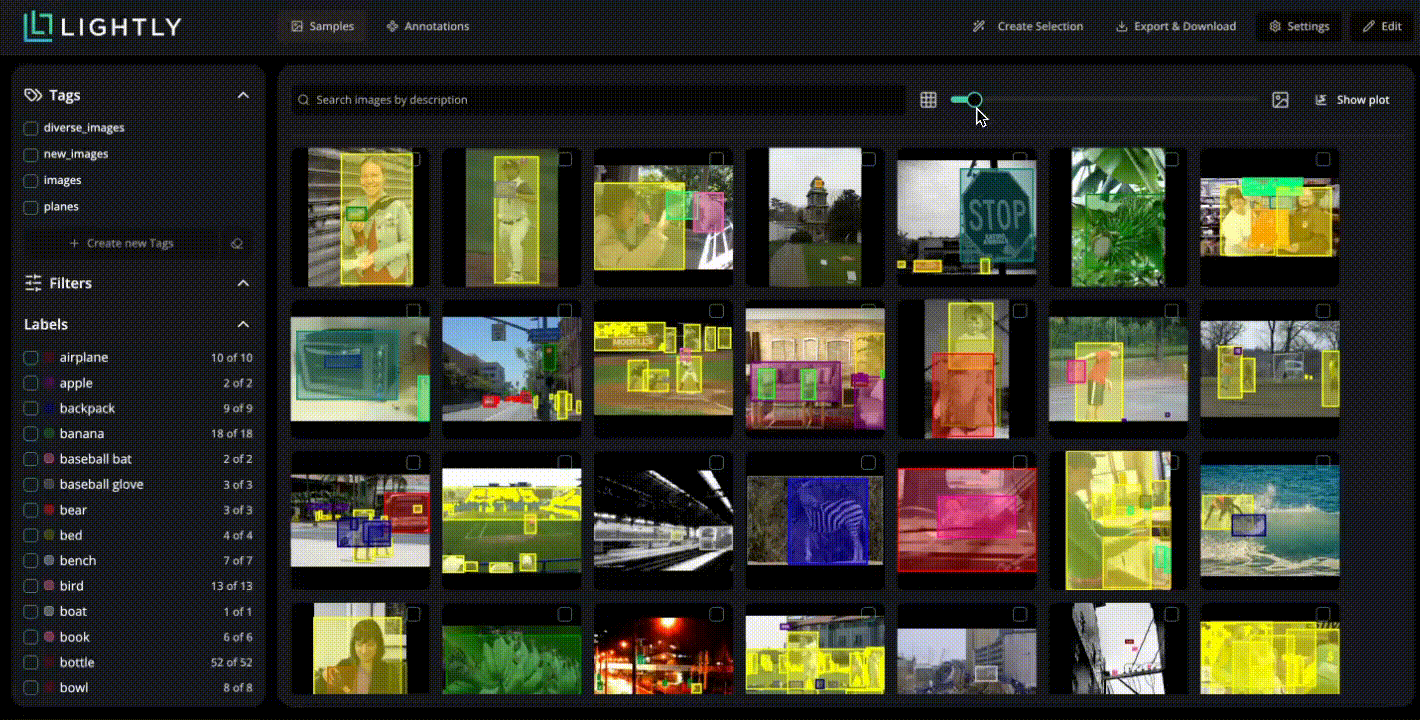 Image embedding plots in LightlyStudio.