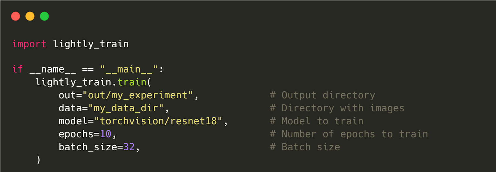 Code to pretrain a computer vision model using LightlyTrain.