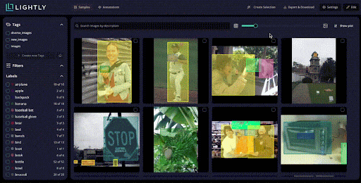 Data curation in LightlyStudio.