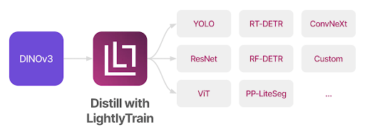 LightlyTrain supported student models.