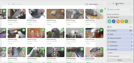 V7 Darwin filtering interface.