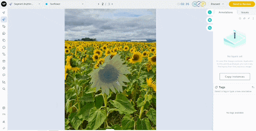 SAM-based image annotations.