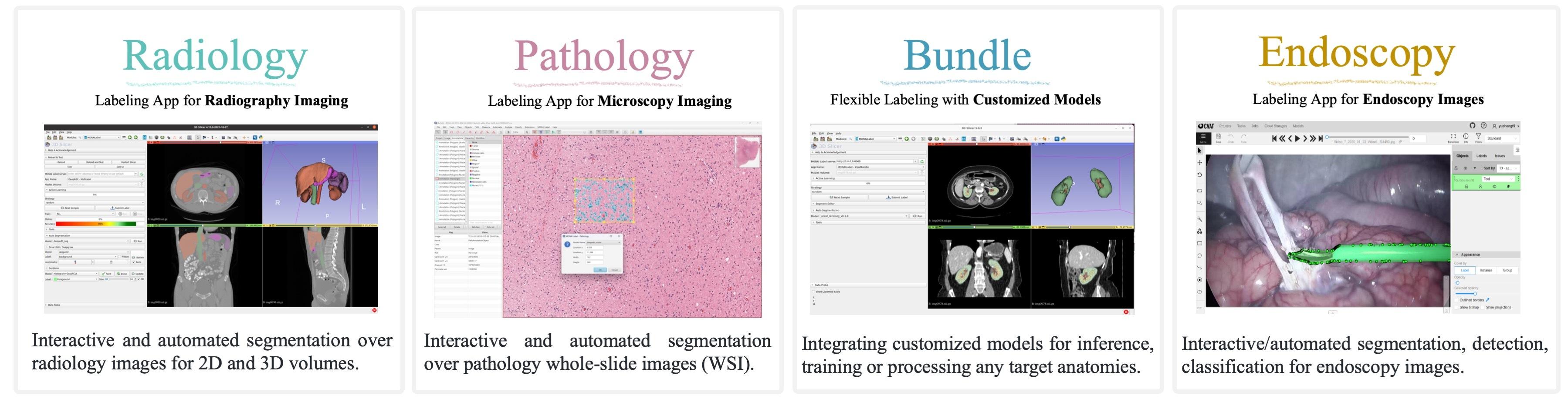 9. MONAI Label use-cases