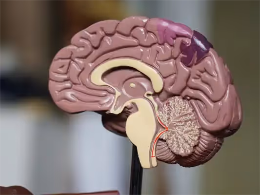 The Impact of Neurophysiological Biomarkers on Cognitive Function in Alzheimer's