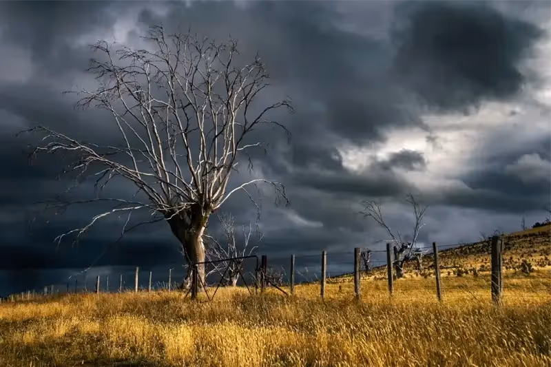 Trauma and Post-Traumatic Stress (PTSD)