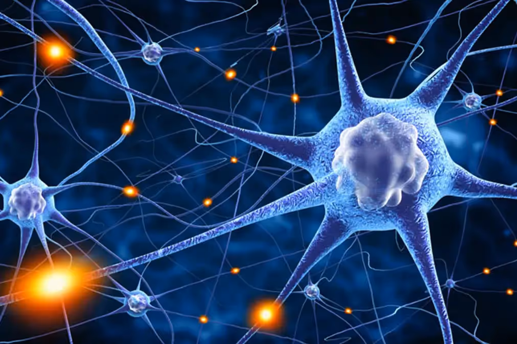 Neuroplasticity Explained: Why Your Brain Can Change at Any Age (And How We Help It)