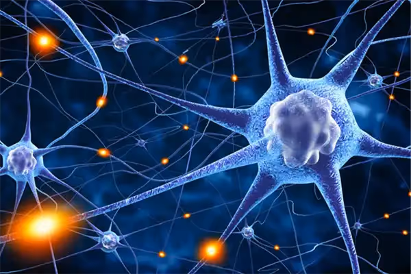 Neuroplasticity Explained: Why Your Brain Can Change at Any Age (And How We Help It)