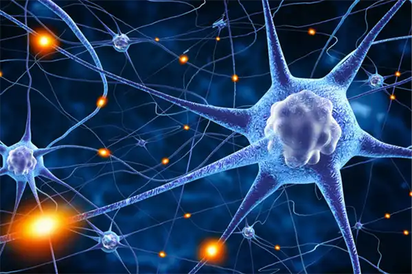 Neuroplasticity Explained: Why Your Brain Can Change at Any Age (And How We Help It)