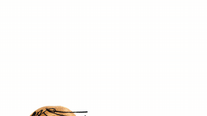 Animation from the Theo eyewear ad