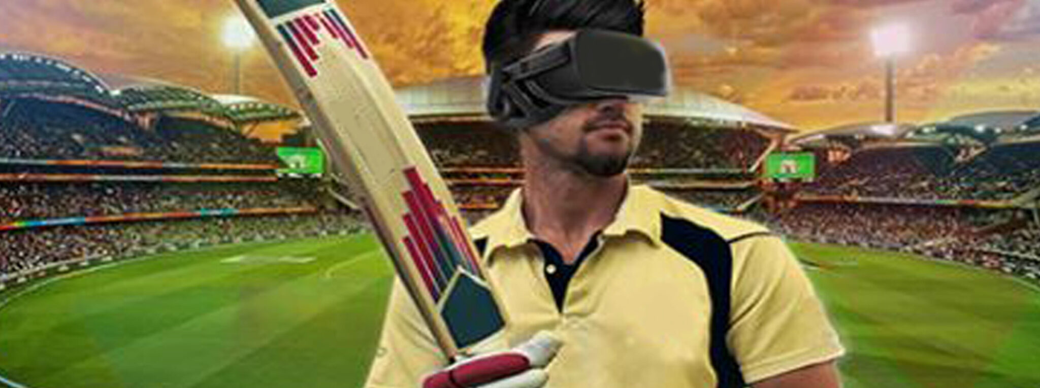 VR Cricket