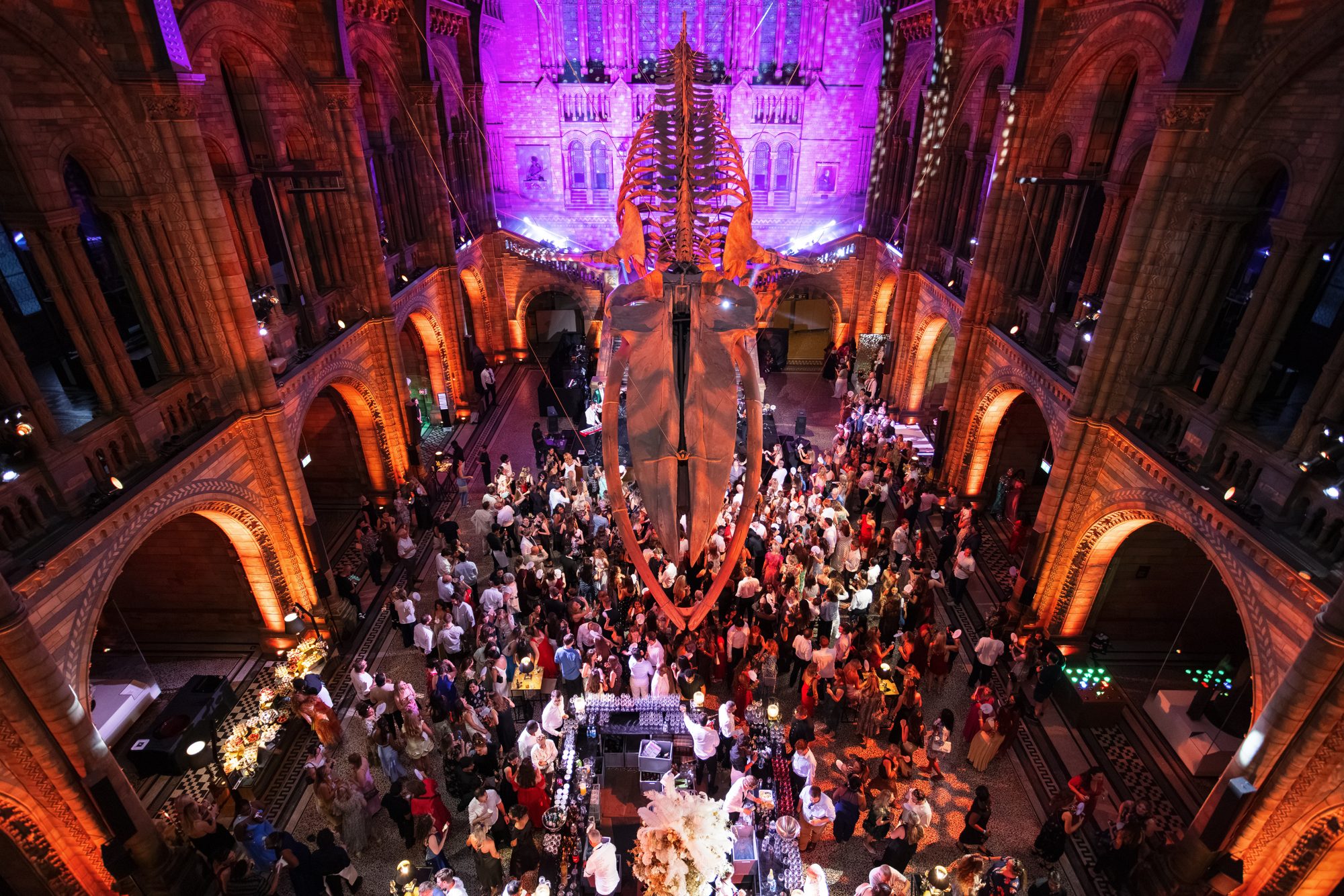 Guests reveal of Hintze Hall beneath the blue whale