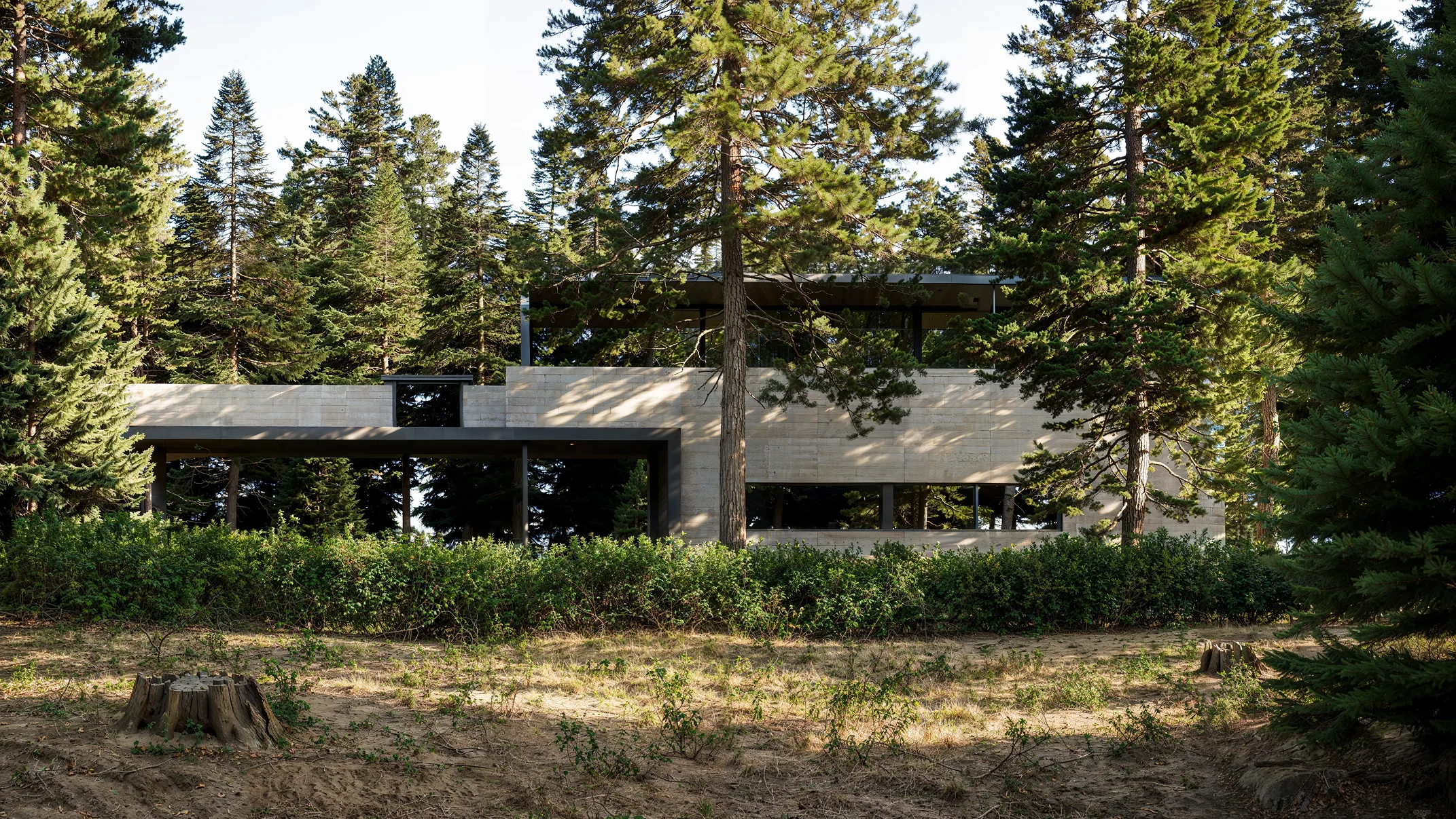 Modern rectangular house with light stone walls and large windows surrounded by tall evergreen trees and dense shrubs on a sunny day.