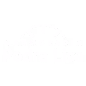 logo da marmoraria pedra lisa
