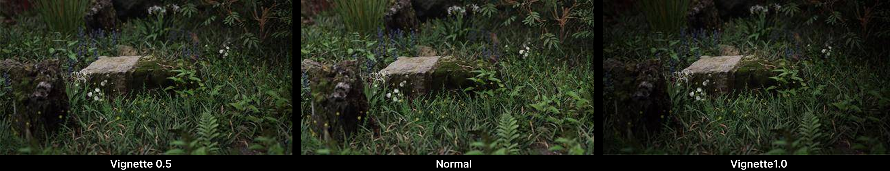 color grading