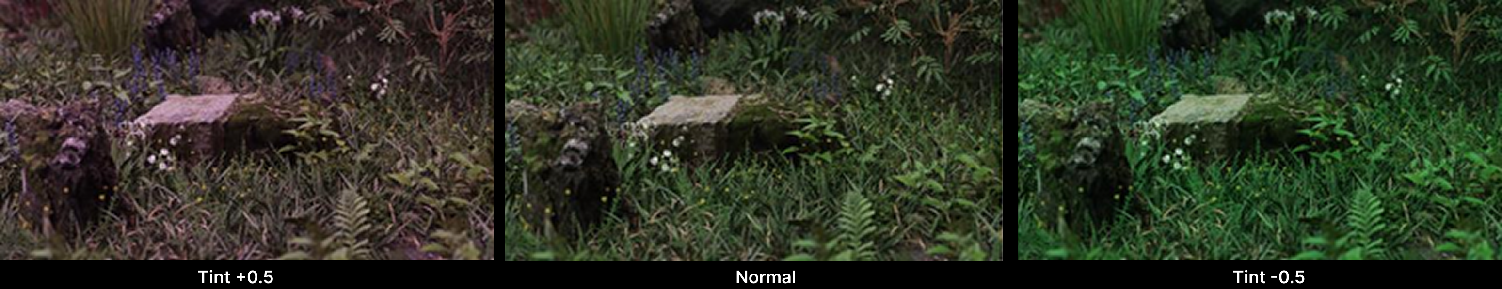 color grading