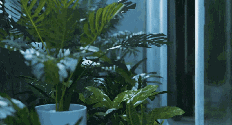 5 Secrets to Photorealistic Rendering with D5 Render