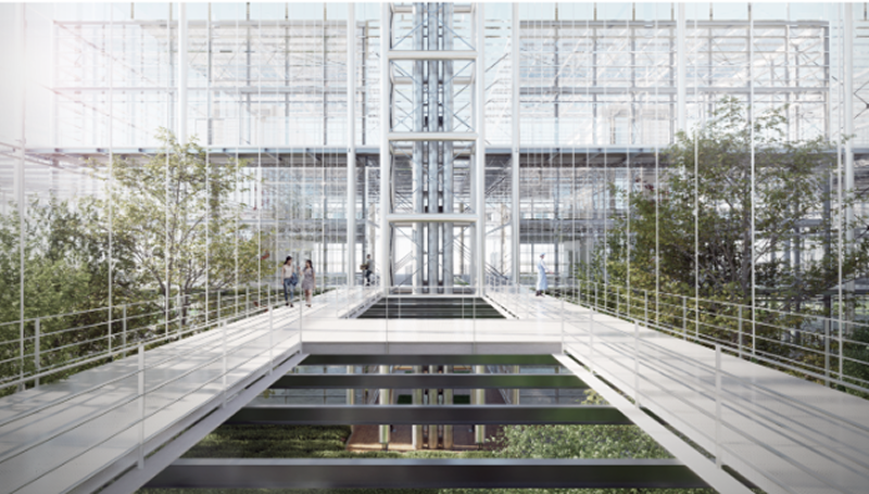 D5 Render visualization of eco-architecture wetland landscape