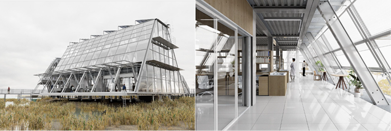 D5 Render visualization of eco-architecture wetland landscape