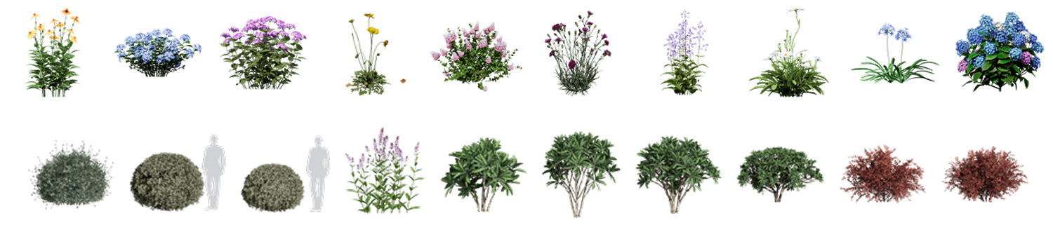 D5 Render visualization of eco-architecture wetland landscape