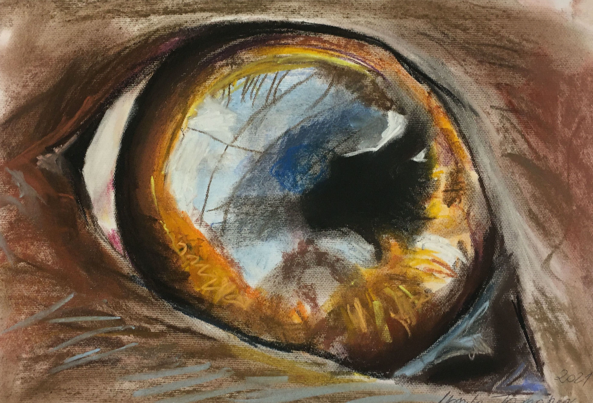 Rysunek oka psa – akwarela, Urszula Tomaszewska