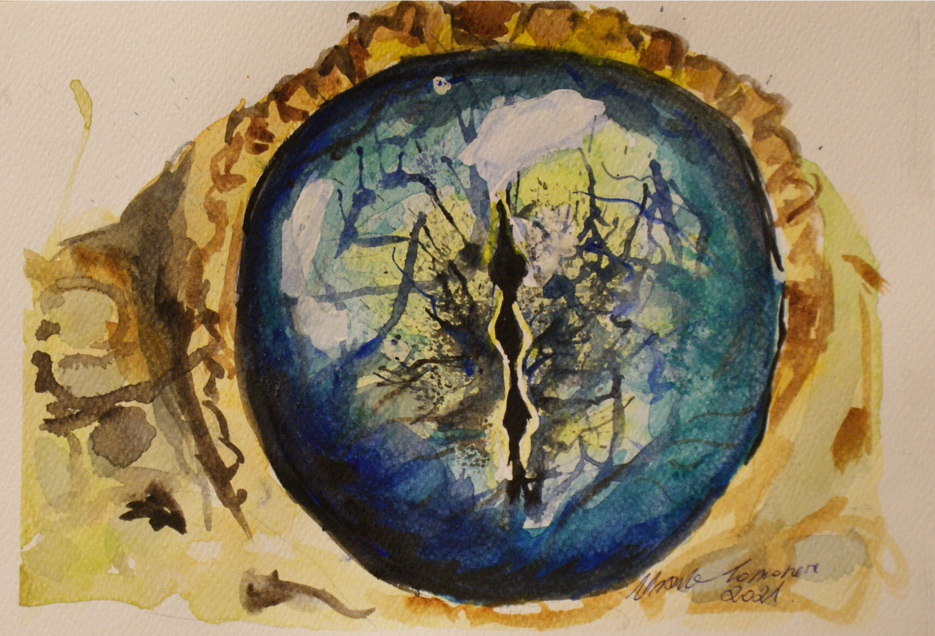 Oko gekona – rysunek Urszula Tomaszewska.